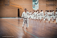 IMG 8934-82