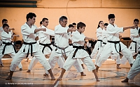 IMG 9050-135